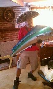 Jay-fish
