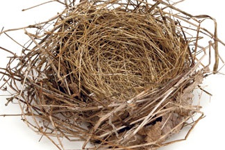 empty-nester