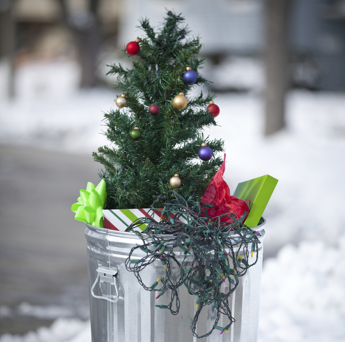 Christmas tree in trash