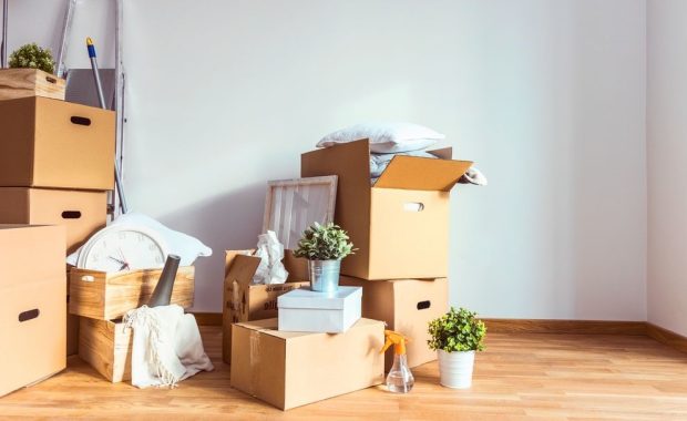 Stack of moving boxes and potted plants arranged in a bright, empty room with wooden floors