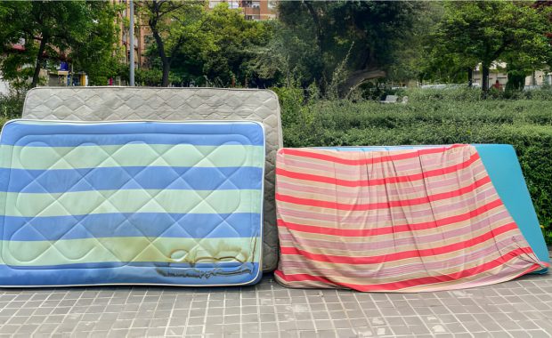Several mattresses propped up outdoors against a backdrop of trees and bushes