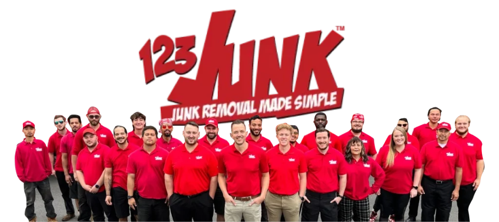 123JUNK Team