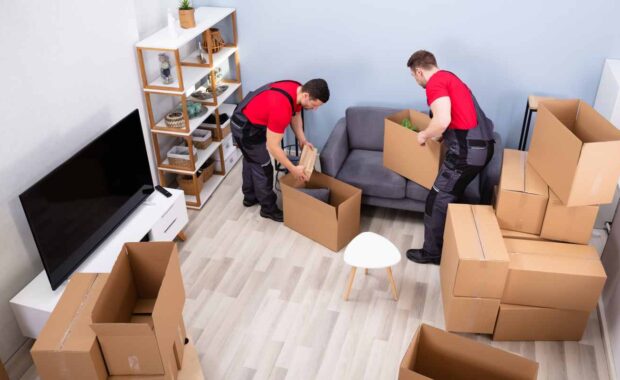 Junk Removal Workers Packing Items in Cardboard Boxes While Downsizing