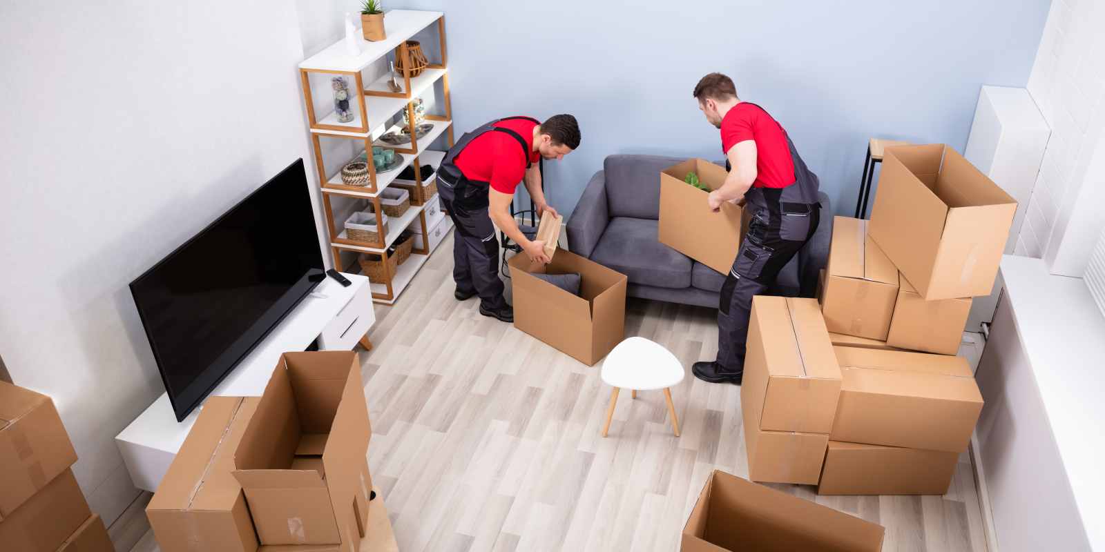Junk Removal Workers Packing Items in Cardboard Boxes While Downsizing