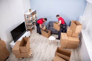 Junk Removal Workers Sorting the Home Items in Boxes for Donation Recycling and Disposal