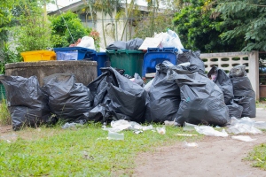 Garbage Bags Near Trash Bin for Junk Removal Pickup